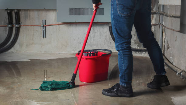 Water damage restoration mold remediation in Palmview South, TX