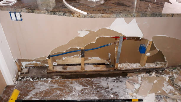 Best Water damage restoration services  in Palmview South, TX
