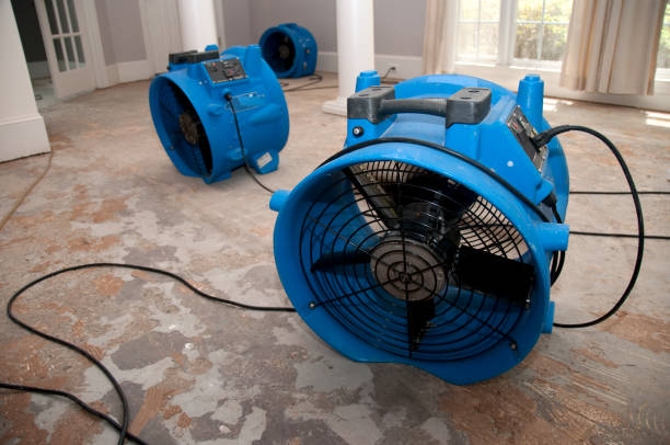  Palmview South, TX Water damage restoration Pros