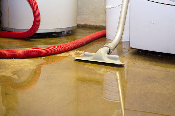 Best Water damage contractors near me  in Palmview South, TX