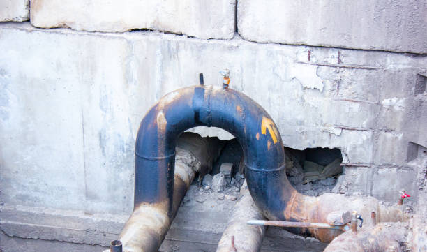 Best Flood restoration services  in Palmview South, TX