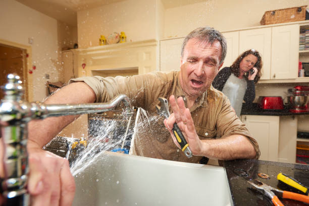 Best 24-hour water damage restoration  in Palmview South, TX
